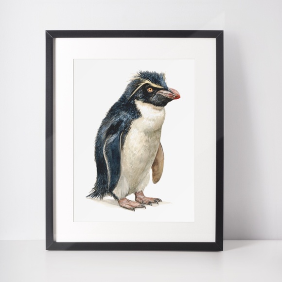 Watercolor Erect-Crested Penguin Wall Art Print Unframed - Antarctic Charm - Picture 3 of 7
